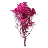 Baby Breath Gypsophila Flowers No Water No Trim Public Area Adornment