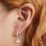 Elegant Water Drop Zircon Earrings