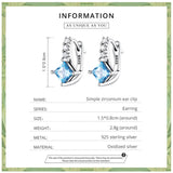 925 Silver CZ Ear Buckle Earrings for Women S925 Fine Jewelry