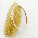 Goddess Rose Luxe Stainless Steel Bangle