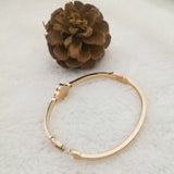Goddess Rose Luxe Stainless Steel Bangle
