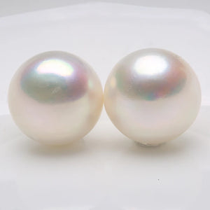Freshwater Big Pearl Silver Stud Earrings 13-14mm Women