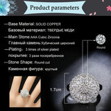Bling CZ Stone Wedding Rings for Women R025