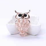 Beaut&Berry Owl Bird Brooch Wedding Party Gift Pin Office Accessories