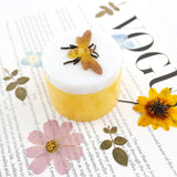 Honey Jar Jewelry Box Resin Mold