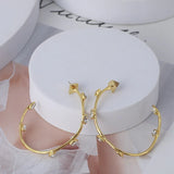 Extravagant Zircon Inlaid Hoop Earrings