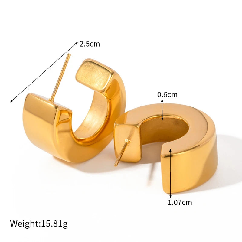 Bilandi 925 Silver Metal Hoop Earrings for Women Party Accessories