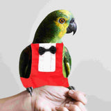 Bird Diaper Suit Parrot Diapers Flight Cockatiel Nappy Chicken Clothes