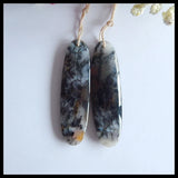 Arborization Opal Gemstone Earrings - Birthday Gift for Women