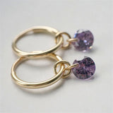 14K Filled Hoop Earrings Birthstone Oorbellen