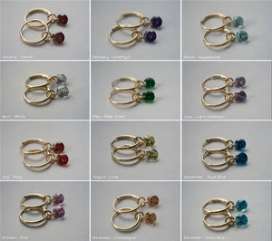 14K Filled Hoop Earrings Birthstone Oorbellen