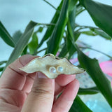 Ocean Style Shell Brooch Natural Pearl Pendant High Brooch