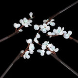 Bohamian Vintage Chinese Style Flower Wooden Hair Sticks Hairpin Tassel Barrette