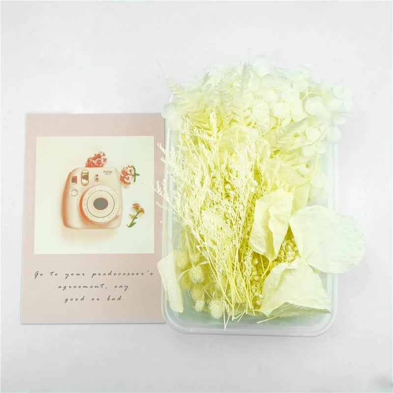 Epoxy Resin Real Dry Plant Pendant Making DIY Craft Accessories