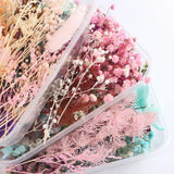Epoxy Resin Real Dry Plant Pendant Making DIY Craft Accessories