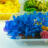 Epoxy Resin Real Dry Plant Pendant Making DIY Craft Accessories