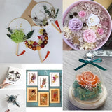 Dried Flower Epoxy Resin Pendant for Jewelry Making