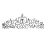 Bridal Princess Crystal Tiara Crown Veil Hair Pins