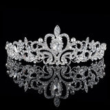 Bridal Princess Crystal Tiara Crown Veil Hair Pins