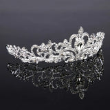 Bridal Princess Crystal Tiara Crown Veil Hair Pins