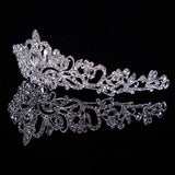 Bridal Princess Crystal Tiara Crown Veil Hair Pins