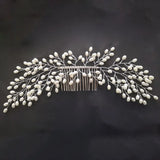 img_12013837