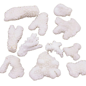 100g Natural Baroque Coral Loose Display 26mm-65mm