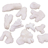 100g Natural Baroque Coral Loose Display 26mm-65mm