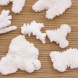 100g Natural Baroque Coral Loose Display 26mm-65mm