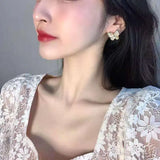 Butterfly Earrings French Style Hot Earrings Female