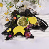 Resin Silicone Mold for Butterfly Storage Box