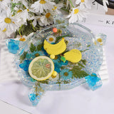 Resin Silicone Mold for Butterfly Storage Box
