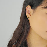 C-Zircon Stud Earrings 925 Silver for Mothers
