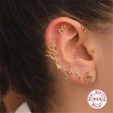 Moon Stars Zircon Earrings 925 Sterling Silver Studs