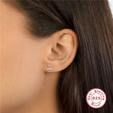 925 Silver Double Geometric Zircon Earring - Delicate Daily Jewelry