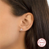 925 Silver Double Geometric Zircon Earring - Delicate Daily Jewelry