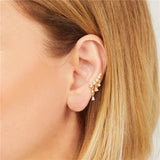 925 Sterling Silver Stud Earring Zircon Tassel Wedding Party