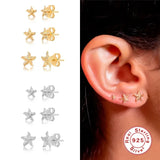 Star Flower Zircon Earrings 925 Sterling Silver Hoops Wedding Jewelry
