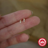 925 Silver Mini Zircon Stud Earrings Non-Allergenic