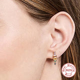 925 Silver Stud Earring Colorful Zircon Ear Pierced Rainbow Earrings