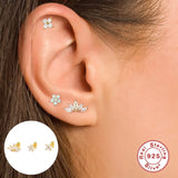 925 Silver Star Petal Zircon Stud Earrings Set for Women