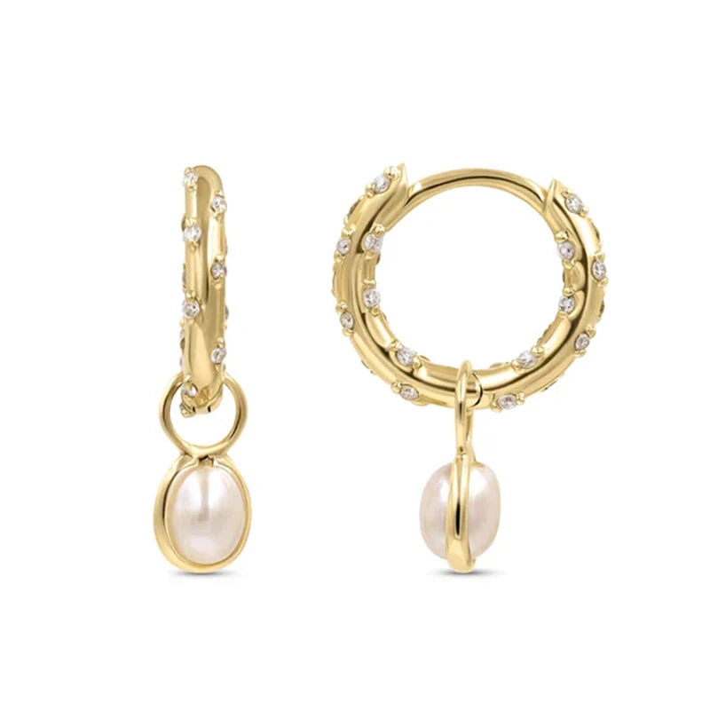 Snake Earrings Silver 925 Zirconia Drop Earrings