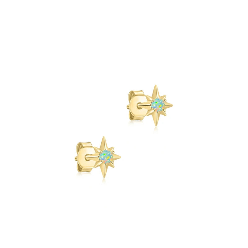 Anise Star Earrings Silver 925 Stud Earrings For Women Wedding Party 18K