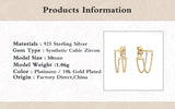 925 Silver Bling Zircon Chain Earrings for Women