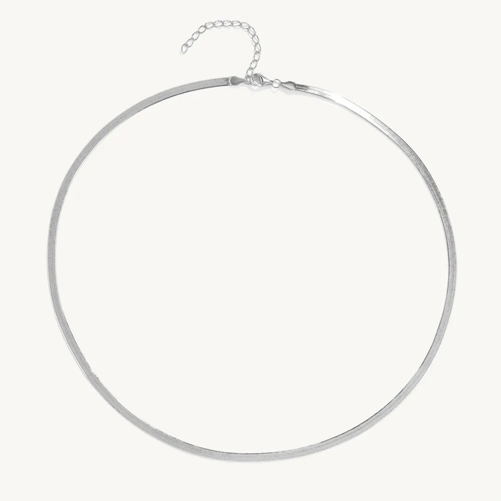 925 Silver Necklace for Women Minimalist Clavicle Chain