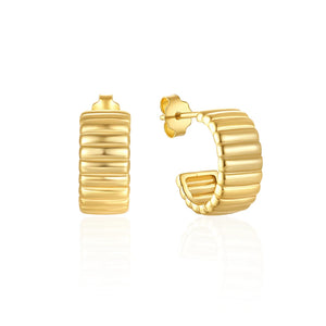 925 Silver Stripe Stud Earrings for Women Fine Jewelry