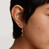 Zircon Tassel Earrings Silver 925 Drop Earrings Diamond Gift