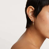Zircon Tassel Earrings Silver 925 Drop Earrings Diamond Gift