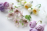 Real Dried Flower Dry Plants DIY Flowers Jewelry Wedding Accessories Craft