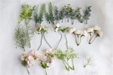 Real Dried Flower Dry Plants DIY Flowers Jewelry Wedding Accessories Craft